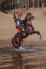 A young adult man in knightly armor rides a horse on a river along a sandy shore