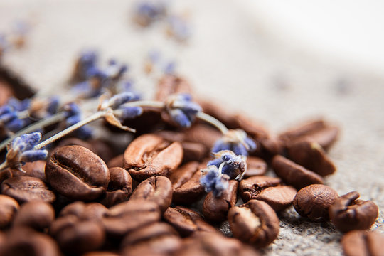 Coffee beans close-up. Beautiful coffee background. Artistic blur. Still life of coffee beans decorated with dried lavender. The picture is in pastel tones.