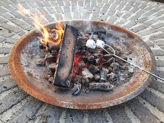 Roasting marshmallows over a garden bon fire  - 347252300