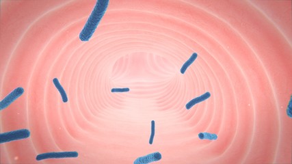 3d illustration of human lung structure.pneumonia.tuberculosis