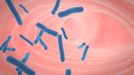 3d illustration of human lung structure.pneumonia.tuberculosis