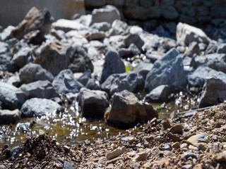 Blurry Rocks