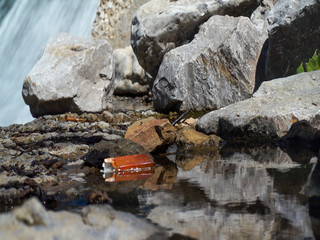 Trash in Nature