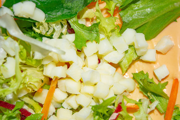 Leafy salad, sliced vegetables and pita sauce are the basis for homemade Shawarma. Close up.