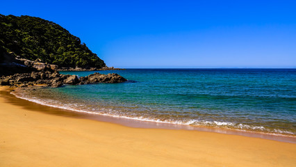 Quiet Mutton Cove on Abel Tasman Coast Track, Abel Tasman N.P, Tasman, South Island, New Zealand