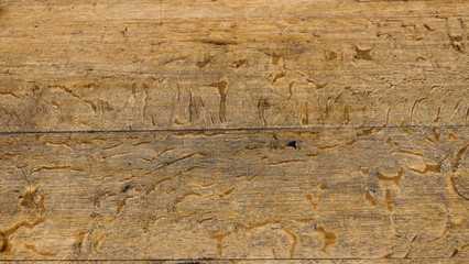 Fototapeta premium Old wooden board, background. Close up