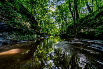 A hidden ravine with a small shallow stream flowing between rock walls in Devil's Lake State Park...