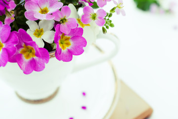 White coffee cup with a bouquet of pink primroses close up on a white background with shallow depth of field.Selective focus