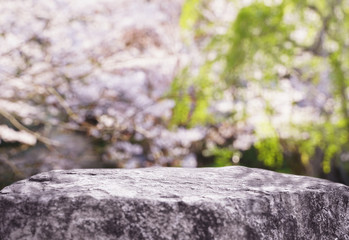 Obraz premium 合成用背景 桜の木と岩