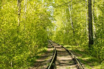 Fototapeta na wymiar Railroad track curved in summer forest