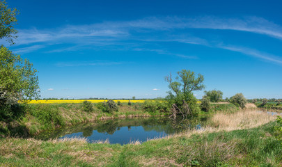 Panoramic over forests, lake and rasp yellow field near Magdeburg at late Spring, Germany