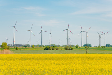 Beautiful farm landscape with rasp yellow blossom, wind turbines to produce green energy in Germany, Spring, blue sky