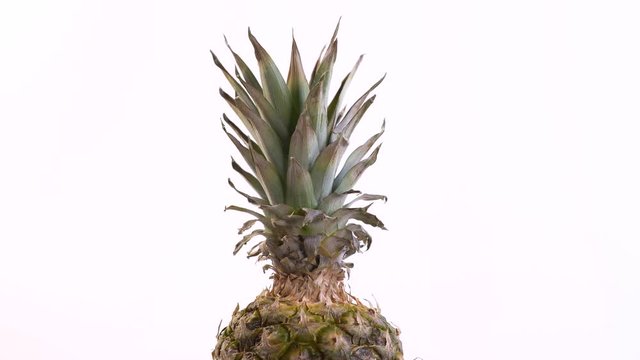 Pineapple Rotates On A White Background
