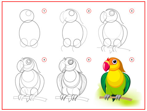 Page shows how to learn to draw step by step cute little green parrot. Developing children skills for drawing and coloring. Printable worksheet for kids school exercise book. Flat vector illustration