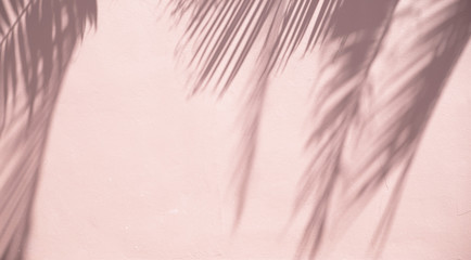 Abstract background of shadows palm leaves on a sandy wall.