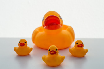 rubber ducks toys
