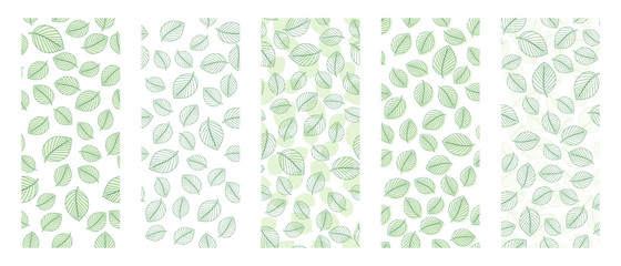Set of five green leaves seamless on white background. Vector illustration.