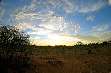 Fototapeta na wymiar GoPro sunset landscape in African nature reserve