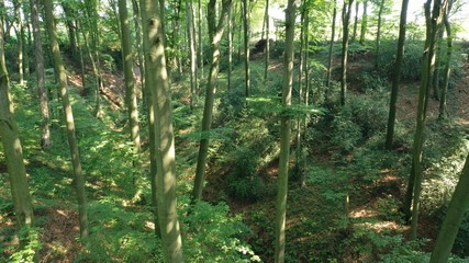 vallée de néander (neanderthal) près de Düsseldorf