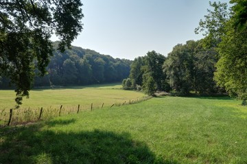 Fototapeta premium vallée de néander (neanderthal) près de Düsseldorf
