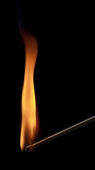 Burning Matchstick 003