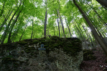 Der Anton Günther Gedenkstein bei den Selterklippen im Selter Höhenzug im Leinebergland - 
The Anton Günther memorial stone at the Selterklippen in the Selter ridge in the Leinebergland