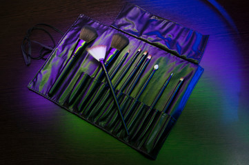 a set of brushes in a leather case for make-up