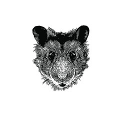 Hamster head Drawing vector