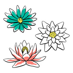 Waterlily, lotus flower collection. Hand drawn colorful sketch of tropical flowers and leaves isolated on white background. Vector illustration