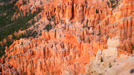 Bryce canyon national park, close up view
