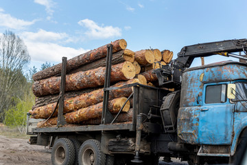 Loading heavy industrial truck trailer with big timber pine, spruce, cedar logs by crane grab...