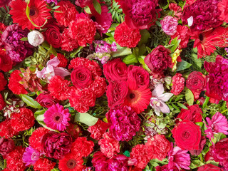 Red flower background