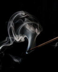 Burned Matchstick 001