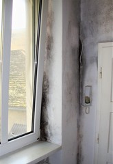 Heavy Mold On A White Window Frame And Door 