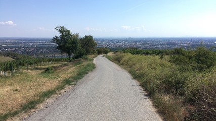 Fototapeta na wymiar Empty Concrete Road With A View Of Vienna, Austria, On A Sunny Day 