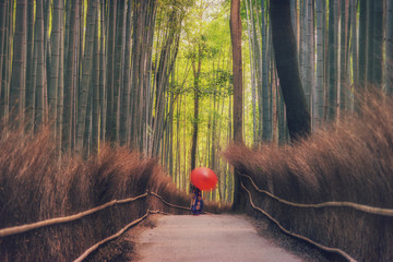 Arachiyama bamboo forest in Japan with red umbrella japan style