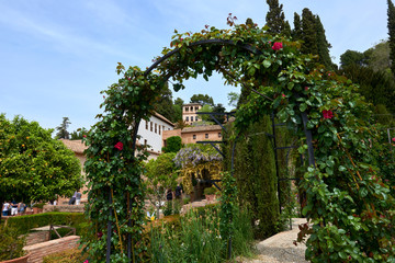 Fototapeta na wymiar A garden in the Alhambra