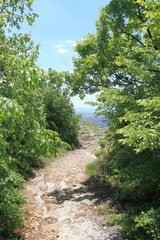 Fototapeta na wymiar View of the plain from the Madara plateau (Bulgaria) in spring