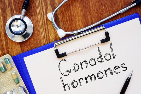 Gonadal hormones is shown on the conceptual medical photo