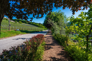 Promenade on Lake Monticolo in the municipality of Appiano on a wine road near Bolzano in Italian South Tyrol.