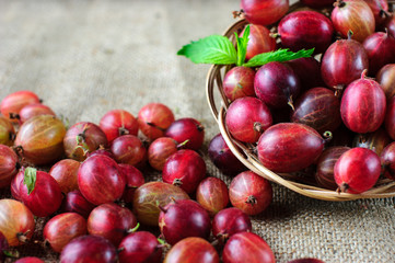 gooseberry in a basket