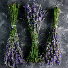 Three bunches of lavender © Yuliia Pashentseva