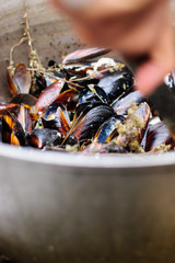 cooked mussels in a pot