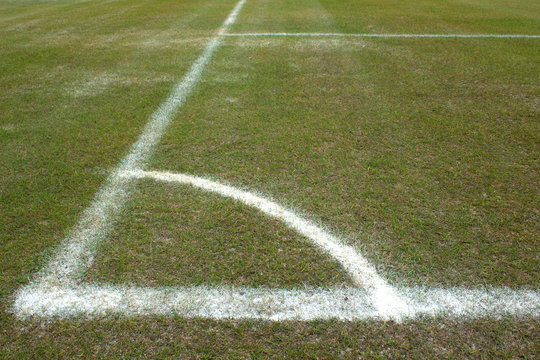 Green Grass Soccer Field Lines