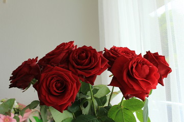 A bunch of red roses in the vase. 