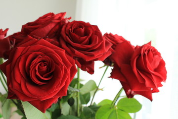 A bunch of red roses in the vase. 