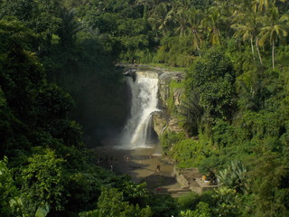 Fototapeta na wymiar waterfall in bali jungle