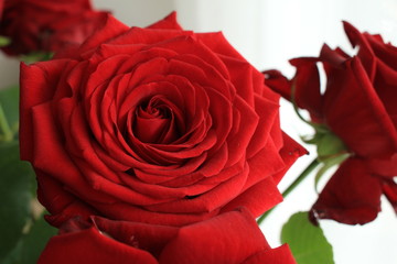 A bunch of red roses in the vase. 