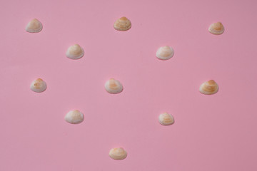 Different seashells on a bright pink background , the concept of holidays by the sea.