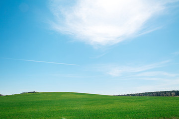 blue sky, Bright sun in a white cloud, green field, General plan. Natural background